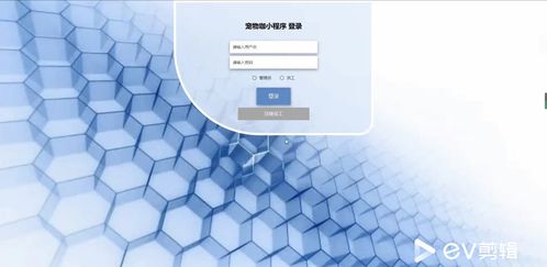 基于SpringBoot与微信小程序的宠物门店综合服务平台设计与实现