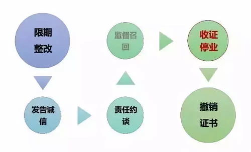 史上最全飞检要点整理与数字内容制作服务